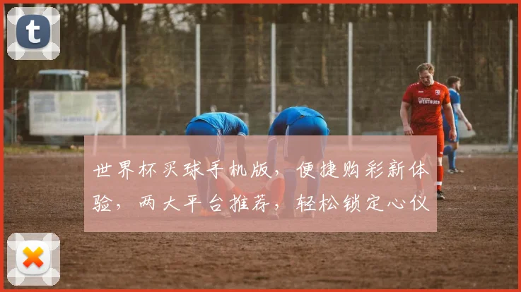 世界杯买球手机版，便捷购彩新体验，两大平台推荐，轻松锁定心仪球队