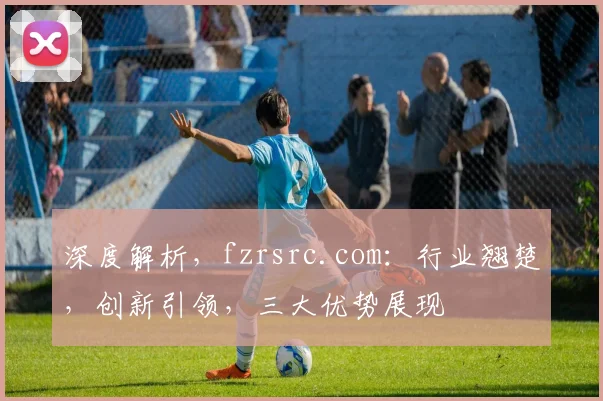 深度解析，fzrsrc.com：行业翘楚，创新引领，三大优势展现