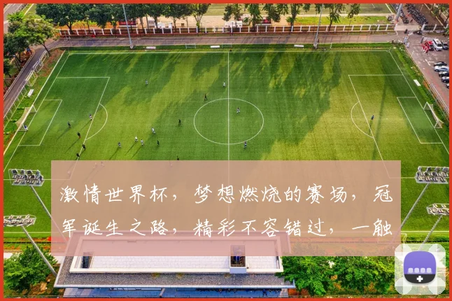 激情世界杯，梦想燃烧的赛场，冠军诞生之路，精彩不容错过，一触即发