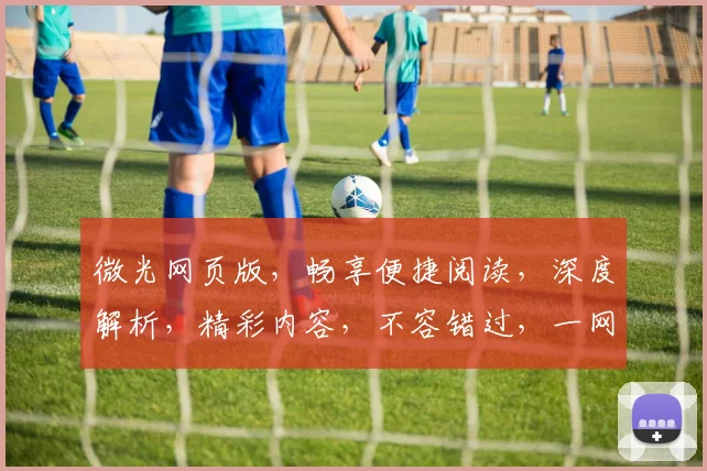 微光网页版，畅享便捷阅读，深度解析，精彩内容，不容错过，一网打尽