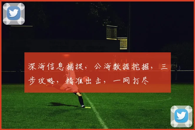 深海信息捕捉，公海数据挖掘，三步攻略，精准出击，一网打尽