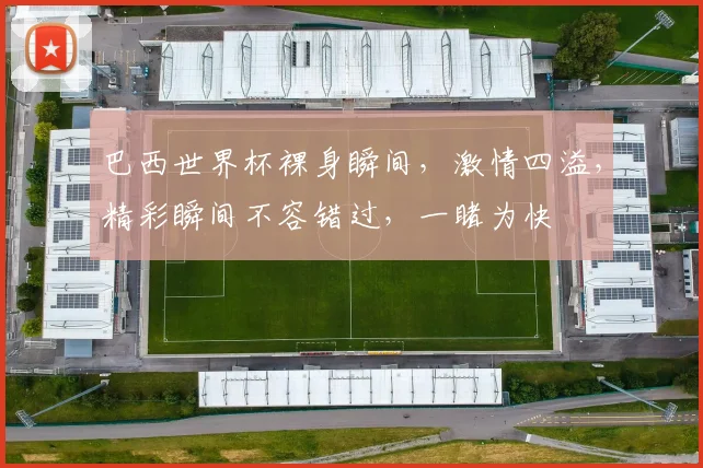 巴西世界杯裸身瞬间，激情四溢，精彩瞬间不容错过，一睹为快