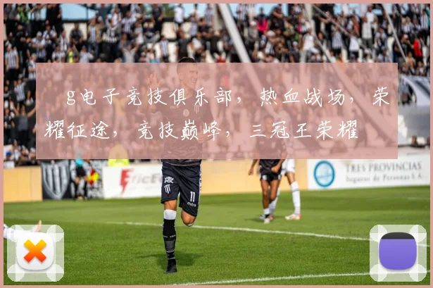 ⅴg电子竞技俱乐部，热血战场，荣耀征途，竞技巅峰，三冠王荣耀