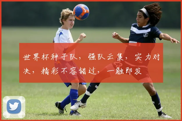 世界杯种子队，强队云集，实力对决，精彩不容错过，一触即发